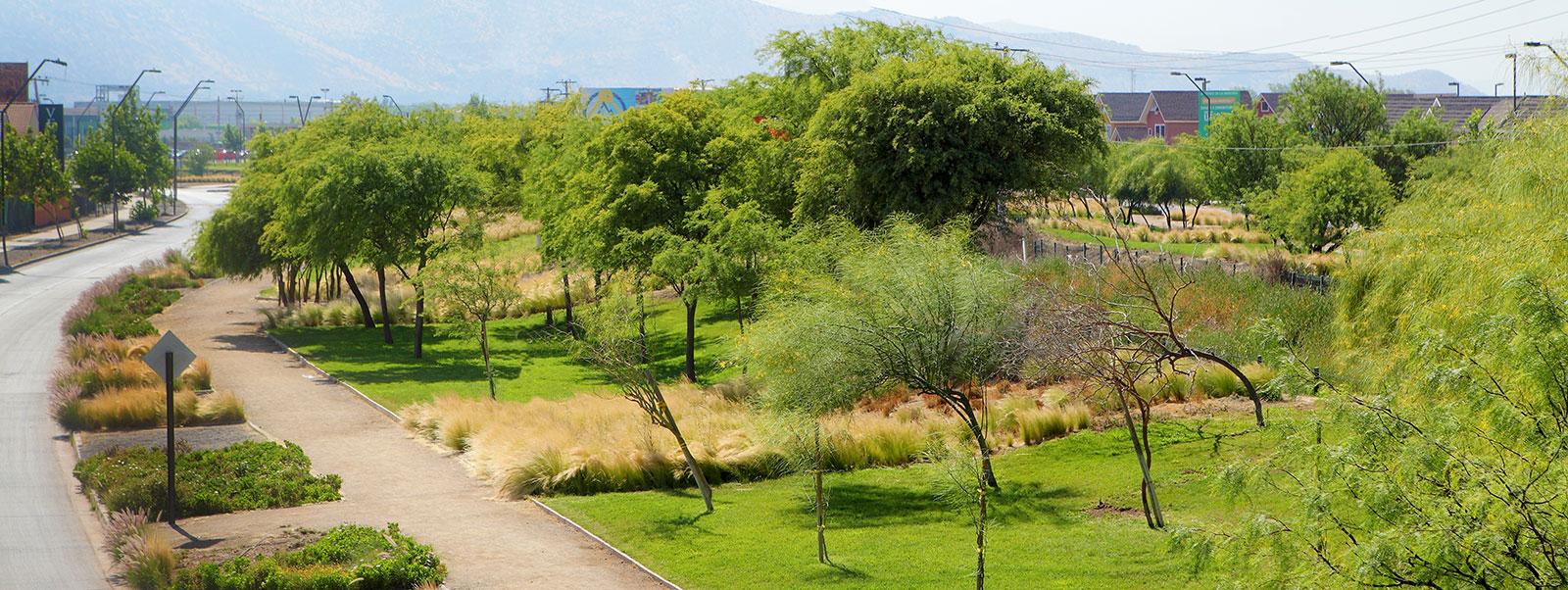 ARMONIA CON LA NATURALEZA