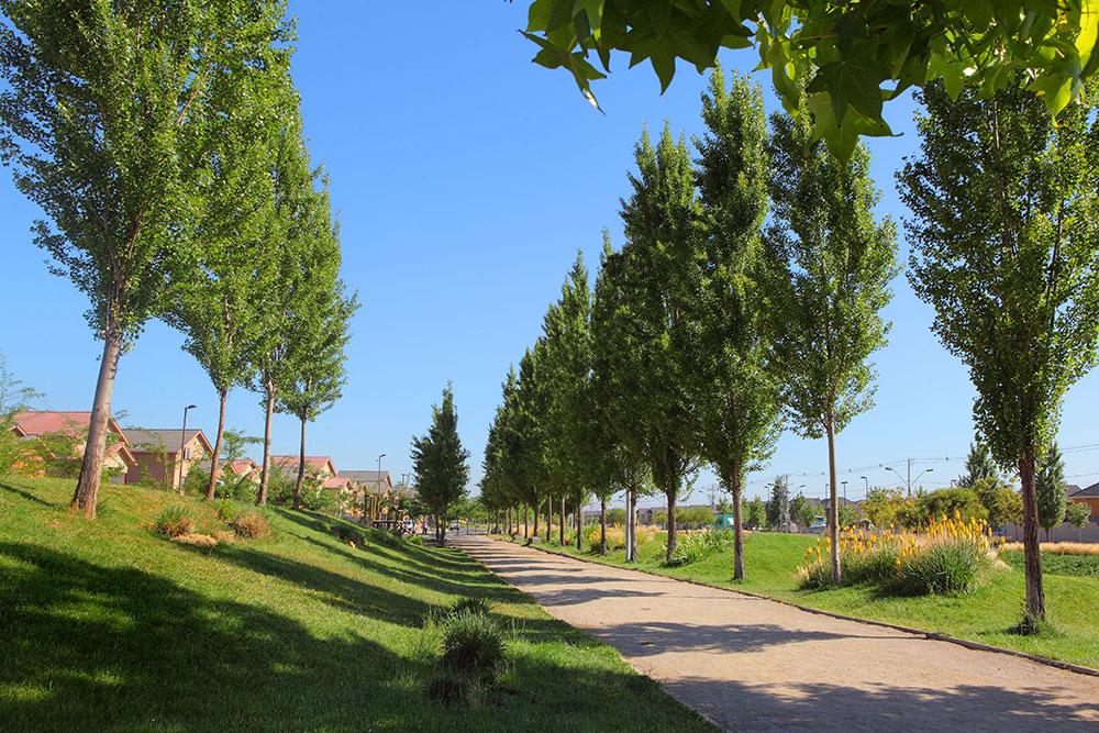 Armonía con la naturaleza